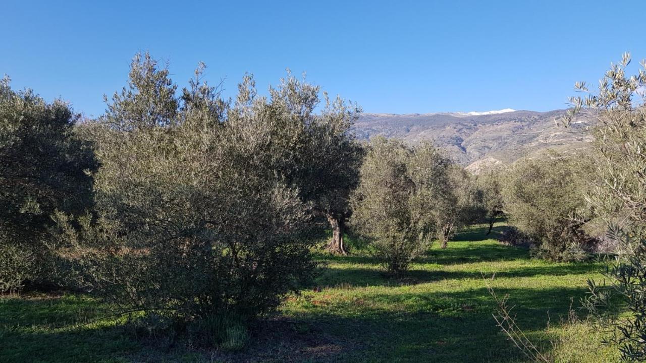 Gateway To The Alpujarras, 'Cortijo Derry' Hotel ออร์กิวา ภายนอก รูปภาพ