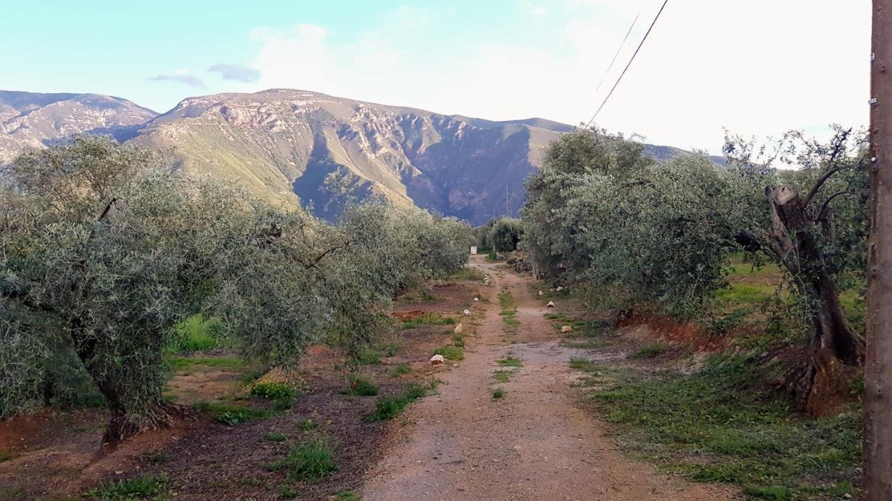 Gateway To The Alpujarras, 'Cortijo Derry' Hotel ออร์กิวา ภายนอก รูปภาพ