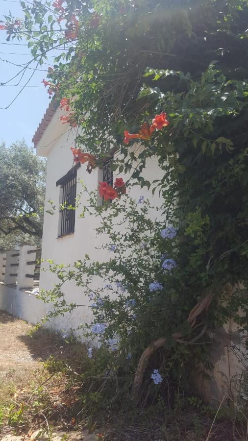 Gateway To The Alpujarras, 'Cortijo Derry' Hotel ออร์กิวา ภายนอก รูปภาพ