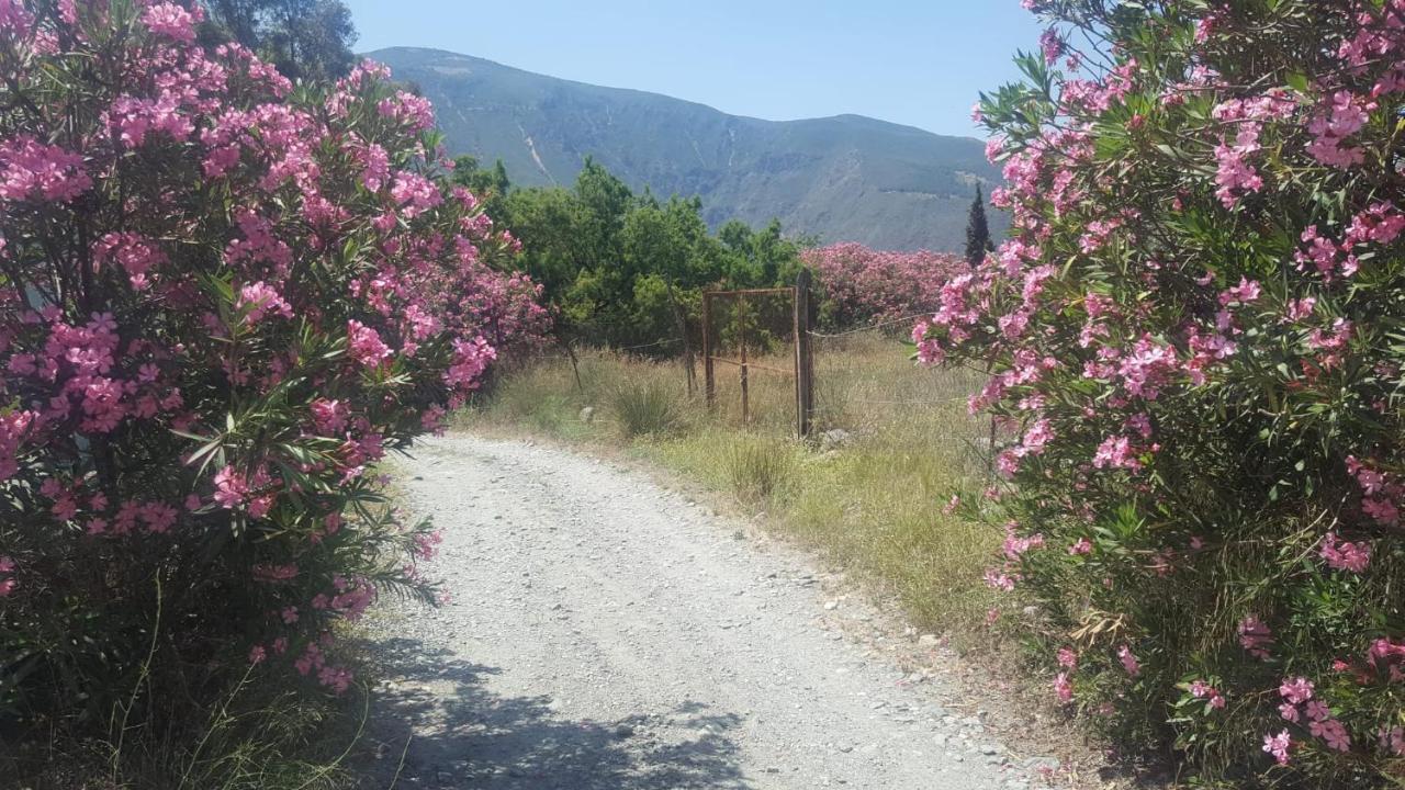 Gateway To The Alpujarras, 'Cortijo Derry' Hotel ออร์กิวา ภายนอก รูปภาพ